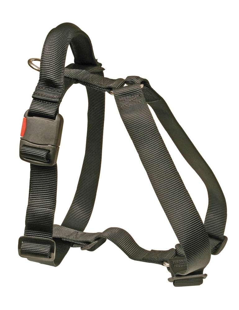Hetzgeschirr "Comfort" mit Griff, T2/40mm schwarz
