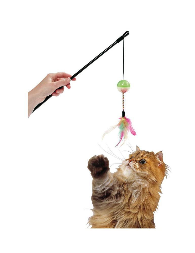Katzenangel Day & Night